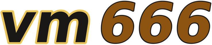 vm666 logo